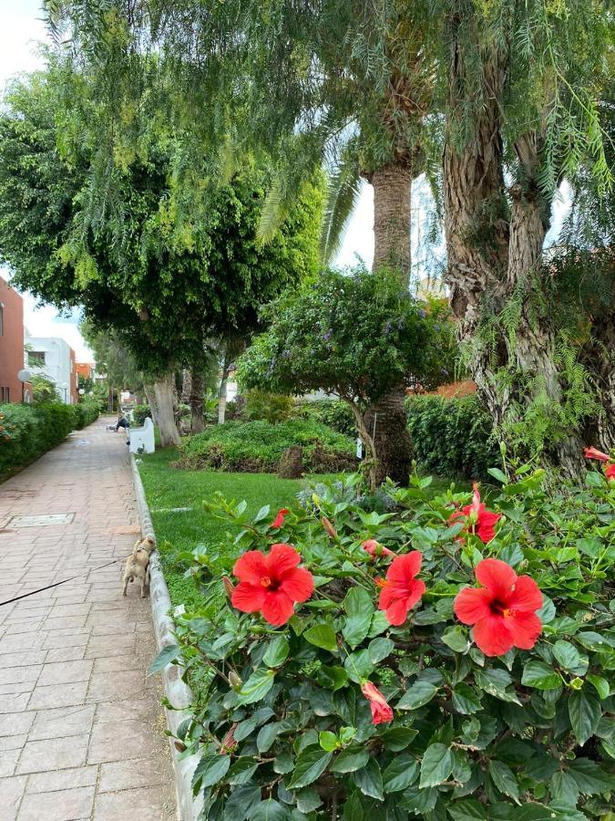 Villa Casa Armonia Del Sol San Bartolomé Esterno foto